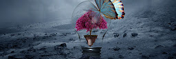 Profile cover photo