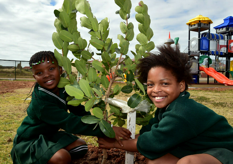 Vukanibantu Primary School pupils Aqhama Mdala, left, and Esona Kramer make sure that a naartjie tree is firmly planted as part of tree-planting efforts during Arbor Month