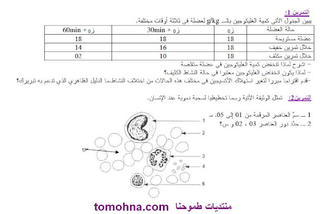 سلسلة تمارين في العلوم الطبيعية للسنة الرابعة متوسط بدون تحميل 1