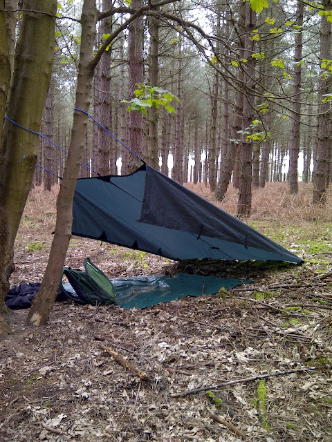 Thetford Forest camp