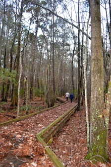 Dingle Pond Loop