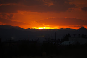 Picasa