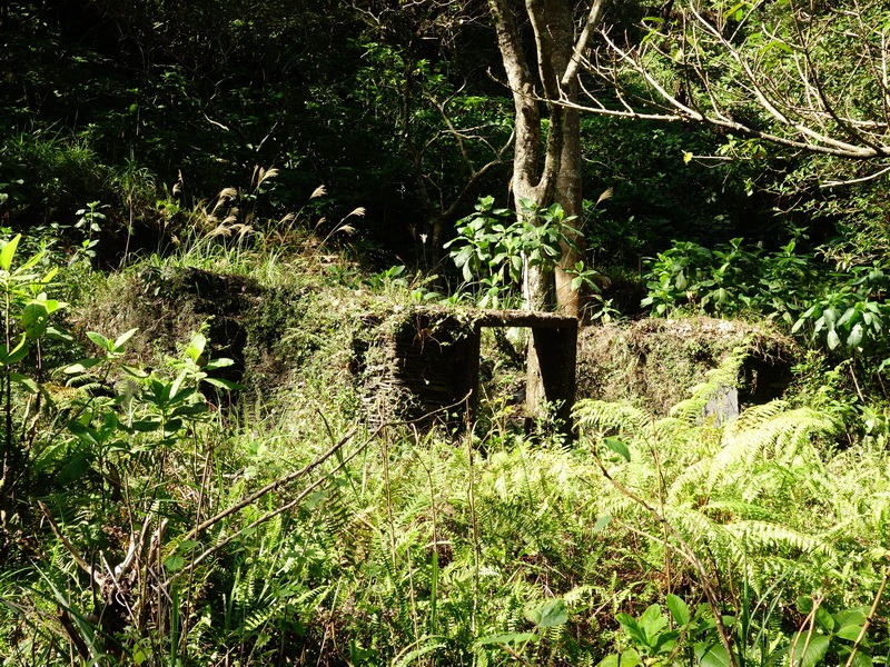 2014_0101-0105 萬山神石、萬山岩雕順訪萬頭蘭山_0067