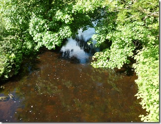 6 peaty brown river colne