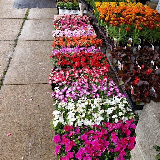 Riley's Florist in Soulard logo