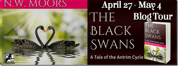 The Black Swans Banner 851 x 315