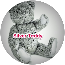 Sliver Teddy