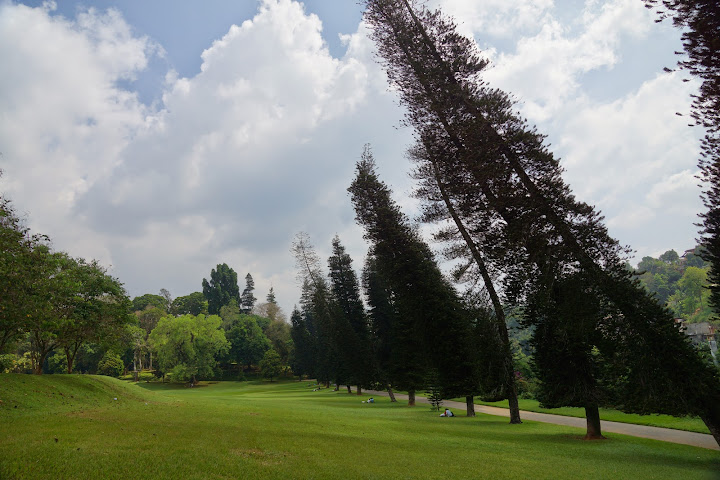 Шри-Ланка: на машине 1 100 км,  фото без комментариев, март-апрель 2013г.