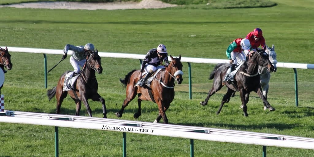 Photos Compiègne 18-04-2015 IMG_8441