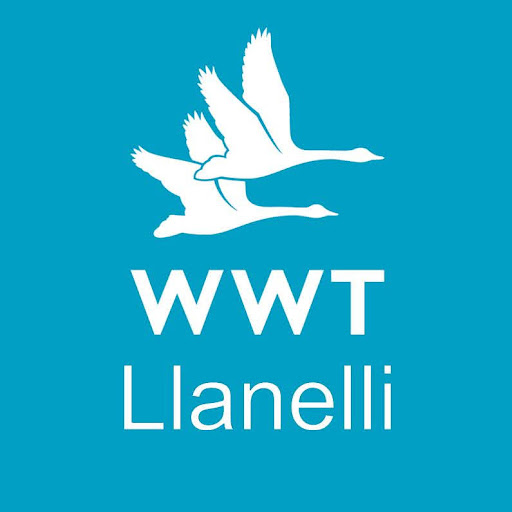 WWT Llanelli Wetland Centre logo