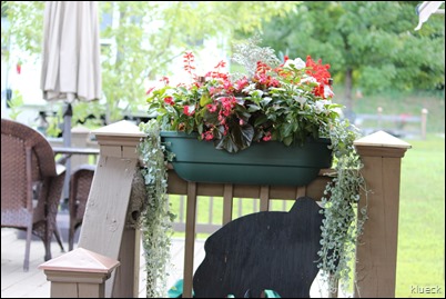 hanging flower basket