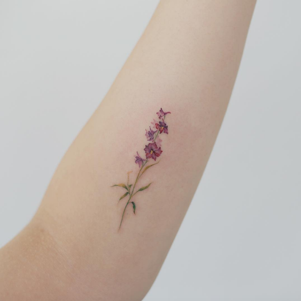 este_deslumbrante_aquarela_flor este_deslumbrante_aquarela_flor