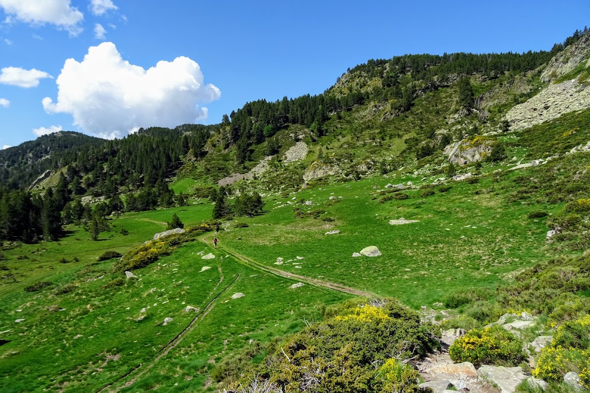 DSC03484.JPG