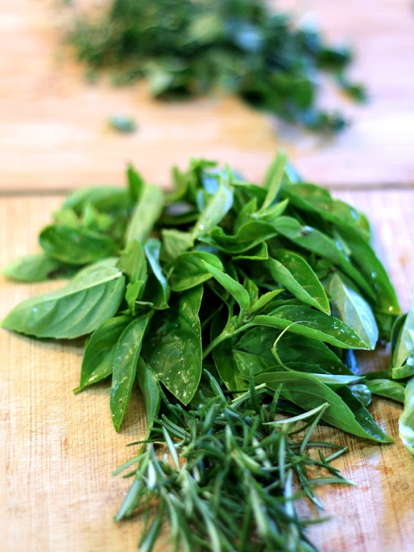 Italian Herb Salt Freshly Picked Basil