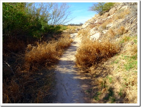 BOQUILLAS CANYON TRAIL…BIG BEND