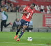 Ligue 1: Lille s'enfonce dans la zone rouge