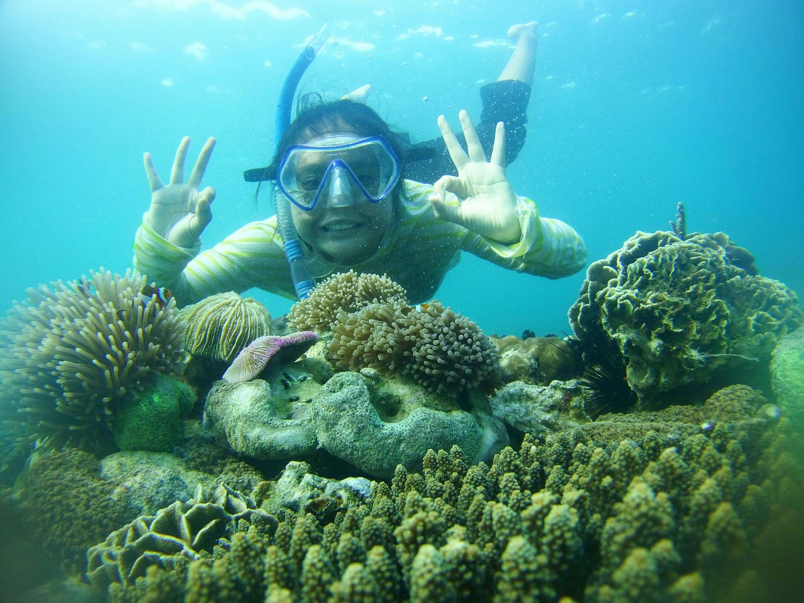 Wisata Snorkeling Gili Ketapang Gili ketapang spot selfi