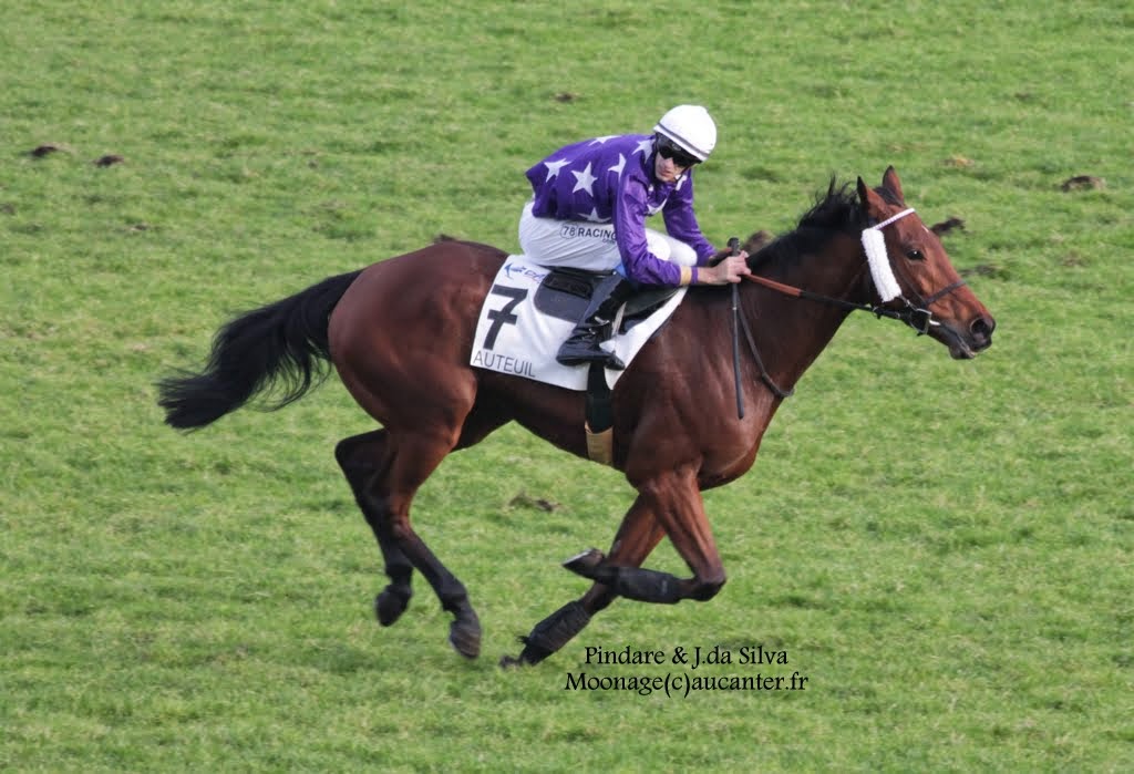 Photos Auteuil 23-11-2014  IMG_6197