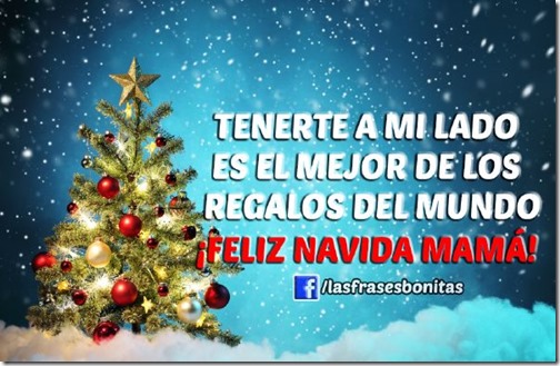 feliz navidad imagenes con frases (14)