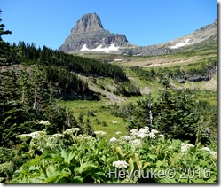 Highline Trail GNP MT 009