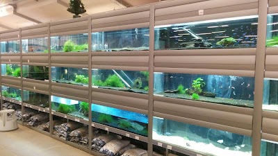 Photos of Petworld Horsens