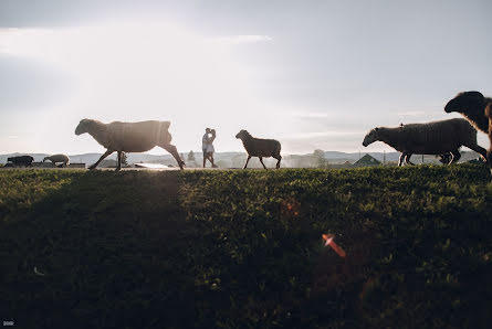 Fotografo di matrimoni Egor Eysner (eysner). Foto del 9 febbraio 2019