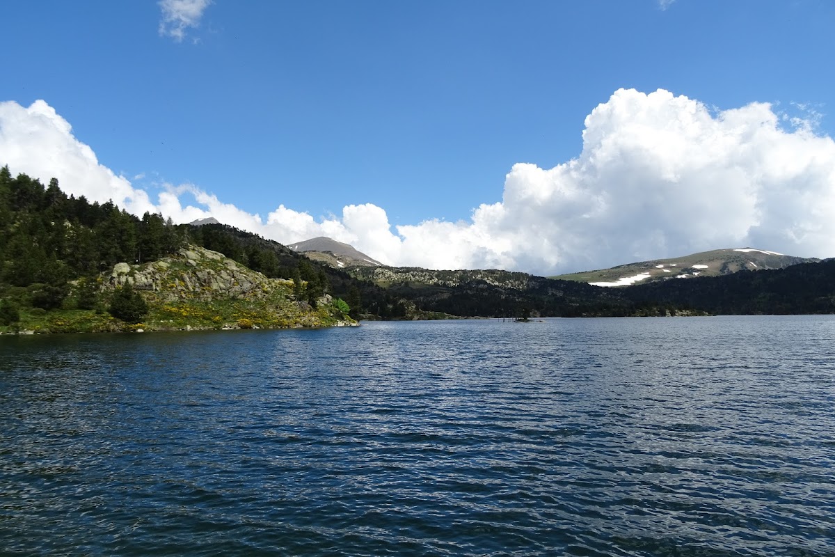 DSC03503.JPG
