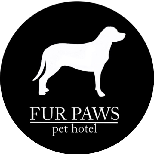 Fur Paws logo