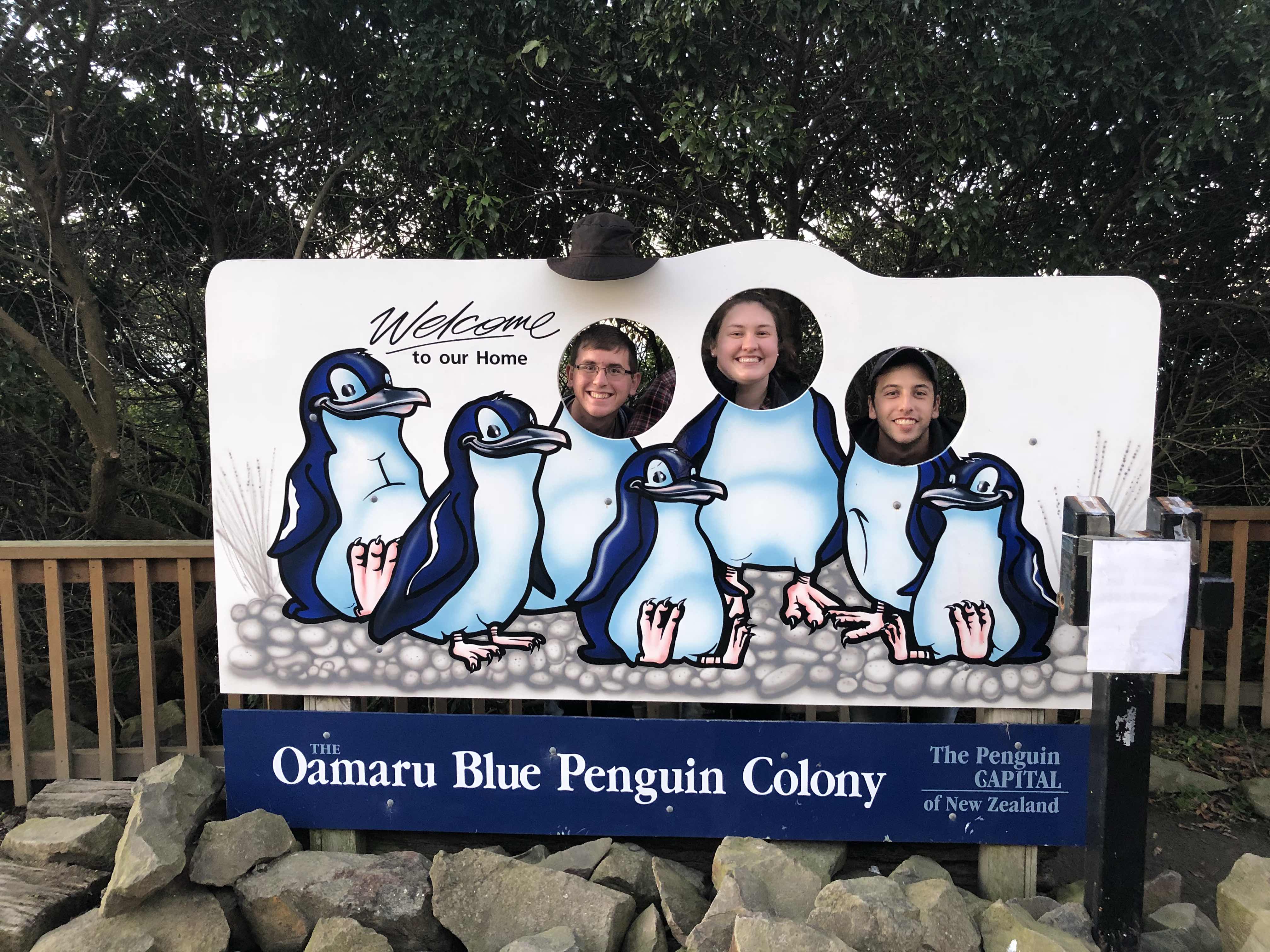 the only picture we could take with penguins