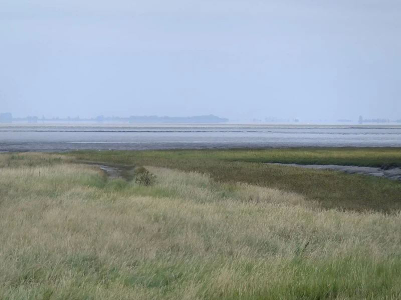 Views across the Wash to the Lincolnshire coast