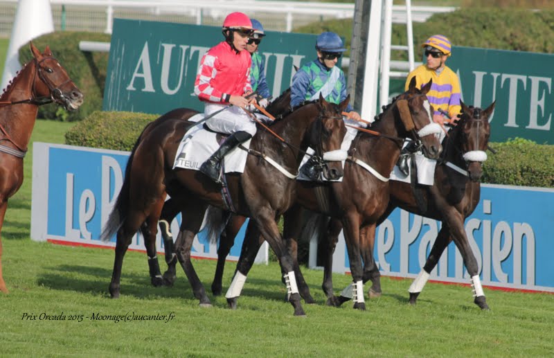 Photos Auteuil 11-10-2015 IMG_5360