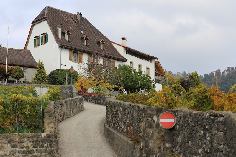 Image principale de Domaine Wannaz La Tour de Chenaux