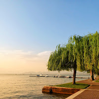 Sul lago di Garda di 