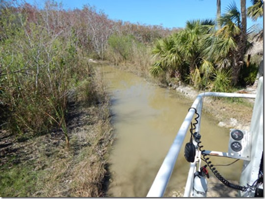 Swamp buggy trail