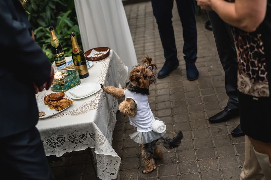 Svatební fotograf Viktor Chinkoff (viktorchinkoff). Fotografie z 16.března 2017