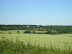 Fields near Dalham