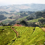 Rwanda West