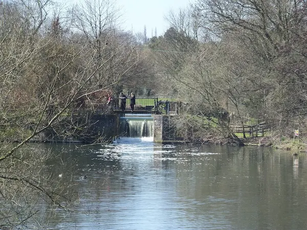 River Stour, Dedham
