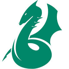 Dragon Vets logo