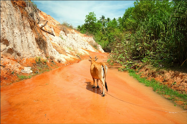 المناظر الطبيعية في مريخ فيتنام !! Vietnammars-11