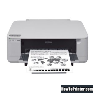 Resetting Epson PX-K100 printer Waste Ink Pads Counter