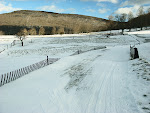 Cross-Country ski trail at Whitegrass, near Davis, West Virginia.