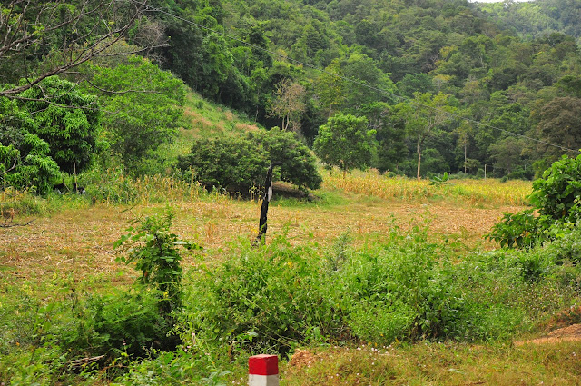 Review - Phượt Đà Lạt --> Suối Vàng ---> Thác Voi qua cung đường đèo Gia Bắc. - 14