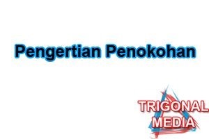 Pengertian Penokohan