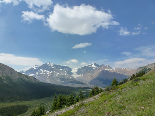 Icefields Parkway. De Jasper a Banff. 8 de Julio - LAS ROCOSAS DE CANADA. YELLOWSTONE Y GRAND TETON. (23)