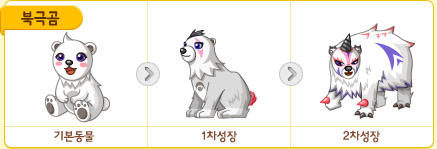 파일:/new_pet/growth/polarbear_growth.jpg