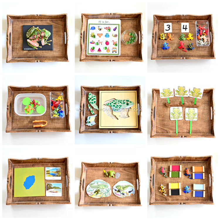 Montessori Inspired Frog Activity Trays for Preschoolers