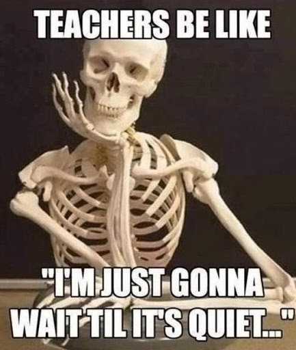 funny teacher quotes