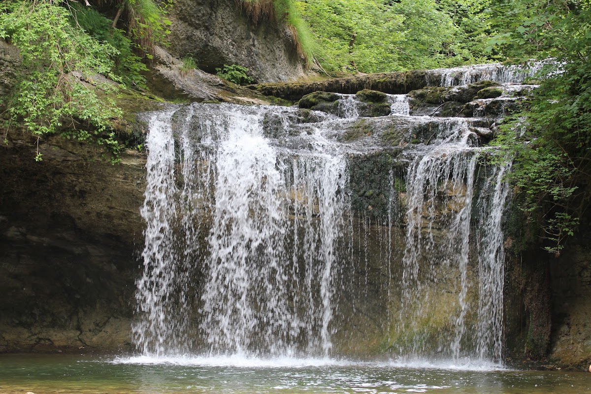 Les cascades du herrisson - Page 2 IMG_3297