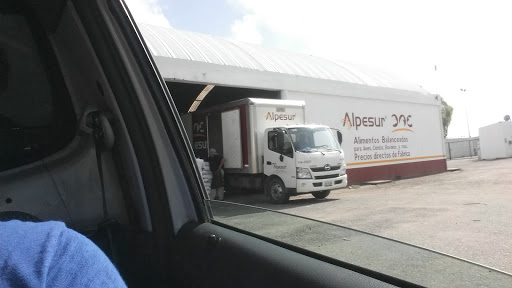 Bodega Alpesur, Perif. Carlos Pellicer Cámara s/n, Jose Maria Pino Suarez, 86029 Villahermosa, Tab., México, Bodega | TAB